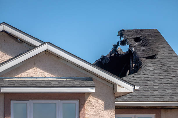 Top rated local Odor Removal specialists in Wyoming, PA